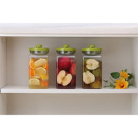 タケヤ化学工業 果実酒びんS型2.7L 1セット(12個)