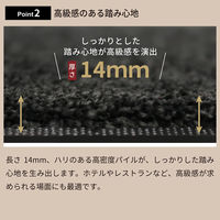 クリーンテックス・ジャパン 玄関マット Eco Absorb 60×90cm CR00004 1個