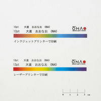 大直 大直礼状紙 A4 100枚入 205003003 1冊(100枚入)