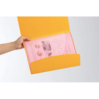 ライオン事務器 ホルダー用ブック〈ビジカル〉 A4S 4ポケット レッド(赤) HB-313B 12970 1セット(5冊)（直送品）