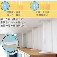 ライオン事務器 転倒防止金具 固定ポール 使用可能サイズ:L460~800mm EP-80 47775 1本