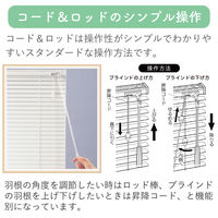 ※低価格※【1cm単位】アルミブラインド＜遮熱＞幅124cmx高さ217cm rzn5835_w124h217r 1セット トーソー（直送品）