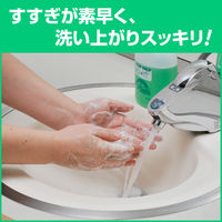 クリーン＆クリーンX7 2L 1箱（3個入） 花王