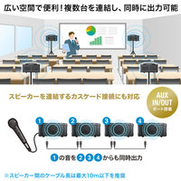 拡声器　メガホン　スピーカーマイク　ハンドマイク型　MM-SPAMPN　サンワサプライ　1個（直送品）