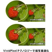 ASUS 21.5インチ液晶ディスプレイ VP228HE-J 1台