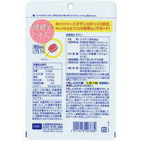 DHC 持続型 ビオチン（60日分） 1セット（1袋（60粒）×7） ビタミン 美容 ディーエイチシー サプリメント