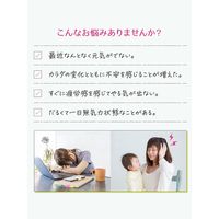 命の母 エクオールと和漢のサプリ エクオール 高麗人参 ケイヒ 生姜 60粒×2袋 約40日分 小林製薬 サプリメント
