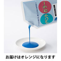 ターナー色彩 イベントカラー 550ml スパウトパック入 オレンジ 絵の具 EVS55024