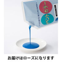 ターナー色彩 イベントカラー 550ml スパウトパック入 ローズ 絵の具 EVS55030