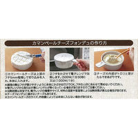 スケーター RMD1N チーズフォンデュメーカー ブラック RMD1N 1個（直送品）