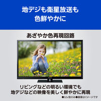 パナソニック 地上・BS・110度CSデジタルハイビジョン液晶テレビ 32インチ TH-32J300 1台