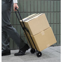 ハピラ ハンドキャリー(フック付ゴムロープ付) 耐荷重25kg 1セット（3台）