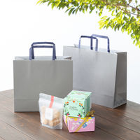 アスクルカタログリサイクル紙袋「Come bag/カムバッグ」平紐 320×250×115mm 1箱（300枚） オリジナル