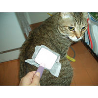 丸藤 ブラシクリーンシート　100枚 4904695018769 1セット(10個)（直送品）