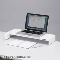 サンワサプライ 電源タップ+USBポート付き机上ラック（W600×D200mm ブラック） MR-LC202BKN 1台（直送品）