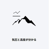 【カシオコレクション】CASIO SGW-300H-1AJH 1本（直送品）