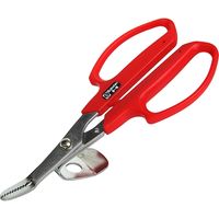 サボテン 根こそぎ草抜きてこ付# 5-B 1個