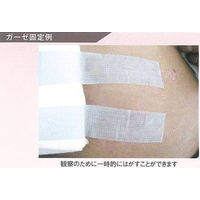 スリーエム 3M やさしくはがせるシリコーンテープ 25mm×5m 2775-1 1箱（12巻入）