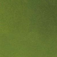 扶桑化学 薬用入浴剤 露天の宿 2KG 有馬 ヒノキの香り F-6041 1袋(2kg入)