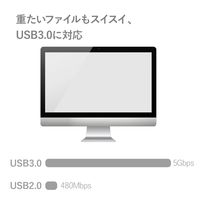 エレコム USBメモリ 32GB USB3.0 USB-A / USB-C 両対応 MF-CAU3132GBK 1個