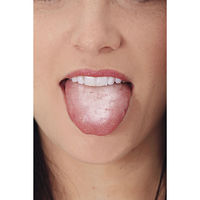 岡部洋食器製作所 コケとっとmini 舌クリーナー KT-02 1個（直送品）