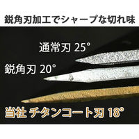 スリーエム ジャパン スコッチチタンコートカッター替刃S10枚 TI-CRS10 1セット(5組)（直送品）
