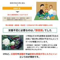 備蓄用栄養補給ライフスープ 5年保存 14食セット(7食×2袋) 非常食 アレルギー対応 長期保存 保存食 防災食 ベジタルアドバンス（直送品）