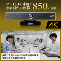 サンワサプライ 会議用ワイドレンズカメラ CMS-V52S 1個