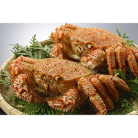 キングマカデミアンJAPAN 毛蟹2杯 K910200 1個（直送品）