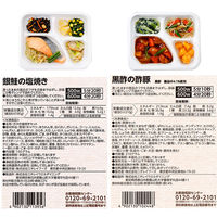 ニチレイフーズ [冷凍] ニチレイ きくばりごぜん 糖・塩・脂に配慮 9種セット(各1個) なし 1セット(9種計9個)（直送品）