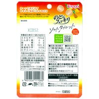 のど飴 キャンディ のどにスッキリ　ソフトタブレット　マイルドフルーツミックス 20g 1セット（1個×6）