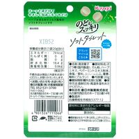 のど飴 キャンディ のどにスッキリ　ソフトタブレット　マイルドハーブ 20ｇ 1セット（1個×6）