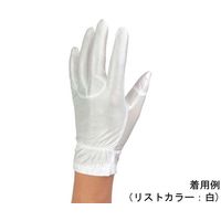 ウインセス 防塵手袋 タッチパネル対応 SS 1袋(10双入) * 1袋 69-4693-26（直送品）