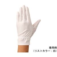 ウインセス 防塵手袋 制電対策タイプ LL 1袋(10双入) * 1袋 69-4693-50（直送品）