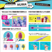 歯ブラシ エビス プログリップ NUMA ハブラシ 鬼プチ ふつう 1本