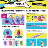 歯ブラシ エビス プログリップ NUMA ハブラシ プチ ふつう 1本