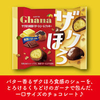 クランチチョコレート ガーナ　ザクほろ発酵バターシュー＆クッキー　ポップジョイ　26g 1セット（1個×12）
