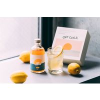 CityCamp OFF LEMON レモネード レモンシロップ 希釈用 300ml 1本