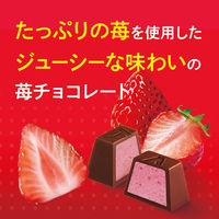 チョコレート 個包装 お配り菓子 アルファベットチョコレート　たっぷり苺 1セット（1個×12）