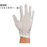 ウインセス 制電手袋 マチ付 M 1袋(10双入) * 1袋 69-4689-95（直送品）