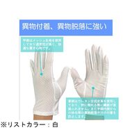 ウインセス 防塵手袋 M 1袋(12双入) * 1袋 69-4689-98（直送品）