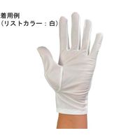ウインセス 防塵手袋 L 1袋(10双入) * 1袋 69-4690-78（直送品）