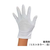 ウインセス ブツ検 表面検査用手袋(右手)M 1袋(10枚入) T4213-M-RI-10M 1袋(10枚) 69-4690-81（直送品）