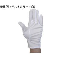 ウインセス 防塵手袋 L 1袋(12双入) * 1袋 69-4691-02（直送品）