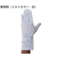 ウインセス 防塵手袋ロング L 1袋(12双入) * 1袋 69-4691-05（直送品）