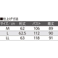 ディーエーピーネットワーク 7分袖前身頃刺繍ロングブラウス ベージュ LL W018217313 1着（直送品）