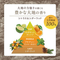 サラヤ ココパーム ランドエッセンストリートメント 詰替用 380mL 4973512261770 1袋（直送品）