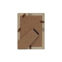 ケンコー・トキナー トレカフレーム L ピンク PS-TC-L-PK 1個 69-0328-45（直送品）