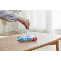 ウェットティッシュ ノンアルコール 純水 99% 1パック（60枚入×3個）アイリスオーヤマ