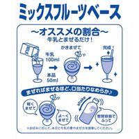 メロディアン ミックスフルーツベース 500ml 1セット（24本）